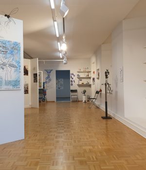 LOZZI MUSEUM 8 Sektor 4